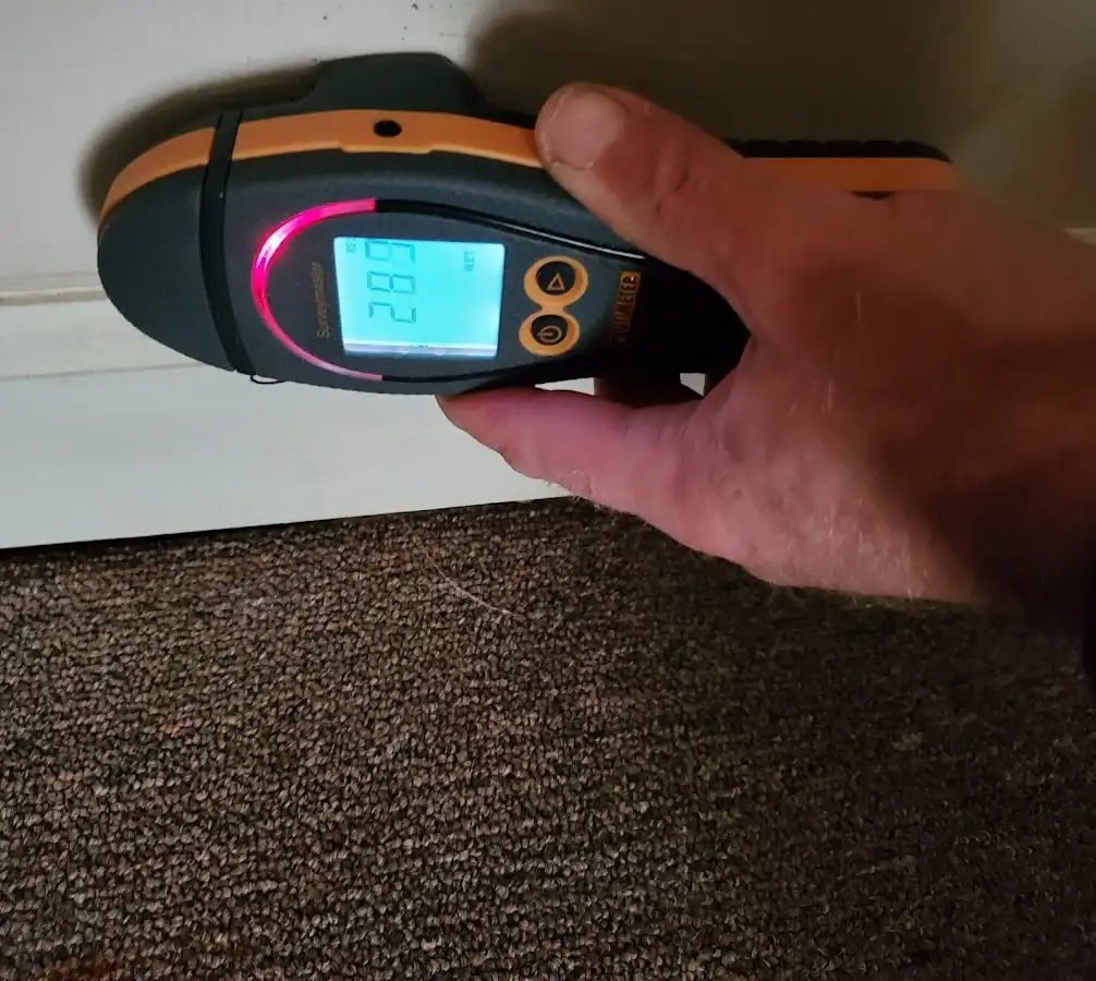 Moisture detection at baseboard during Mold Inspection & Testing in Dacono